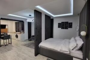 F&L Luxury Studio Suceava