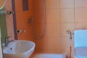 FAM. Guia Manuela Corina