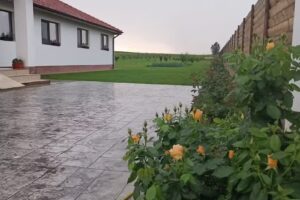 Family House Pristol