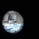 Fântâna vlădulești urși