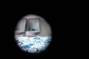 Fântâna vlădulești urși