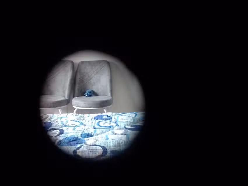 Fântâna vlădulești urși