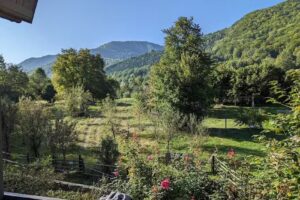 Ferma de sub Penteleu