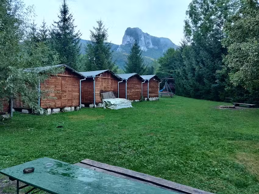 Floare De Colţ – Gyopár – Edelweiss Bungalow, Camping