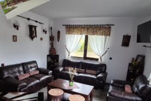 Floare de Colt Rasnov Valea Glejeriei