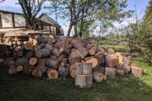 Floarea Soarelui Belis Apuseni 3*