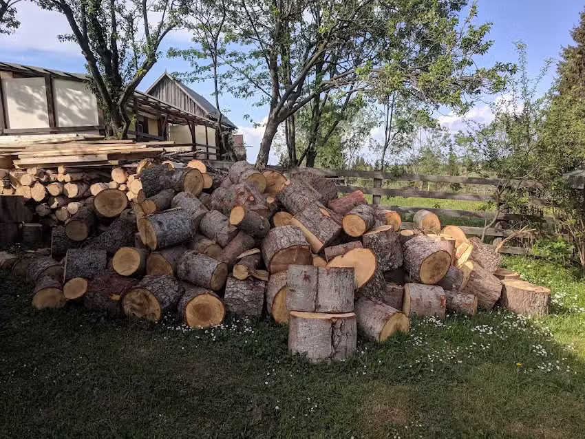 Floarea Soarelui Belis Apuseni 3*