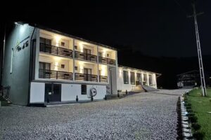 Flori de Tei Maramures