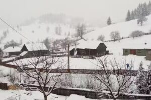 Flower Bell Ghimeş-Făget