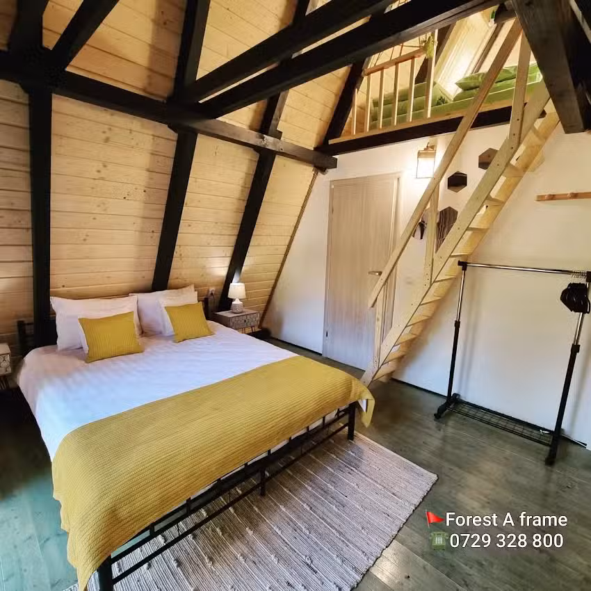 Forest A-Frame Chalet ( Porumbacu de Sus-Sibiu)