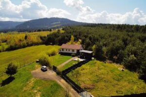 Forest Hide Tiny house