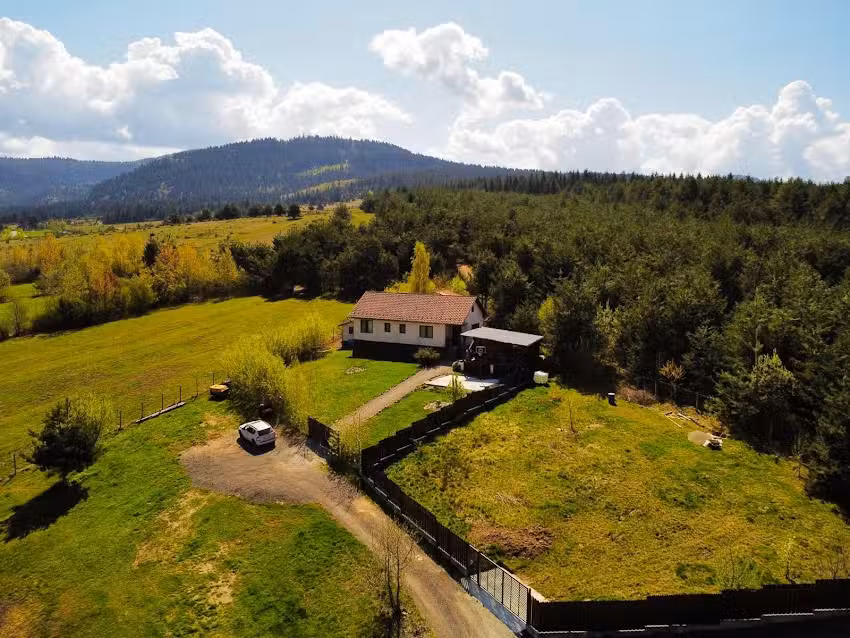 Forest Hide Tiny house