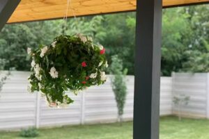 Fragilor Guest House