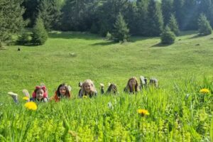 Gálkúti Kulcsosház