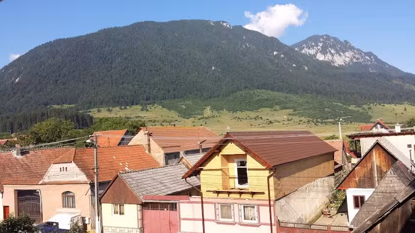 Garofița Pietrei Craiului