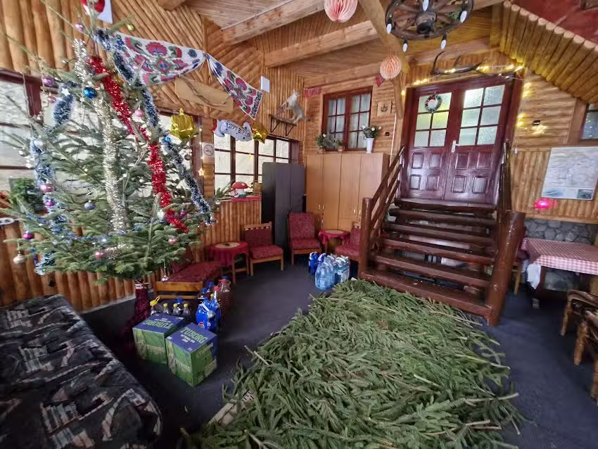 Garofita Pietrei Craiului CIOCANU