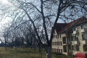 Gecse Dániel Reformed Medical and Health Student College