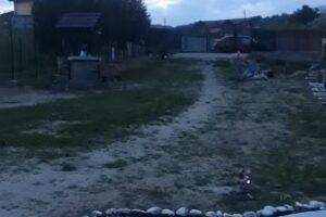 GOLEȘTI, SAT ALDESTI, NR 10