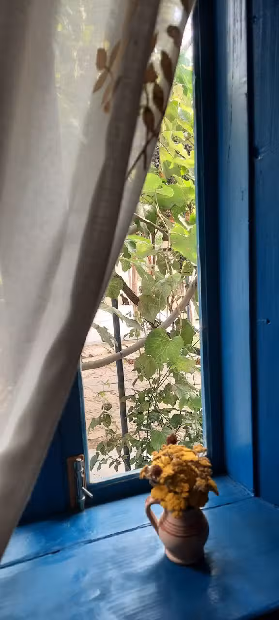 Gospodăria Lipovenească Jurilovca