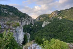 Gradina cu levantica