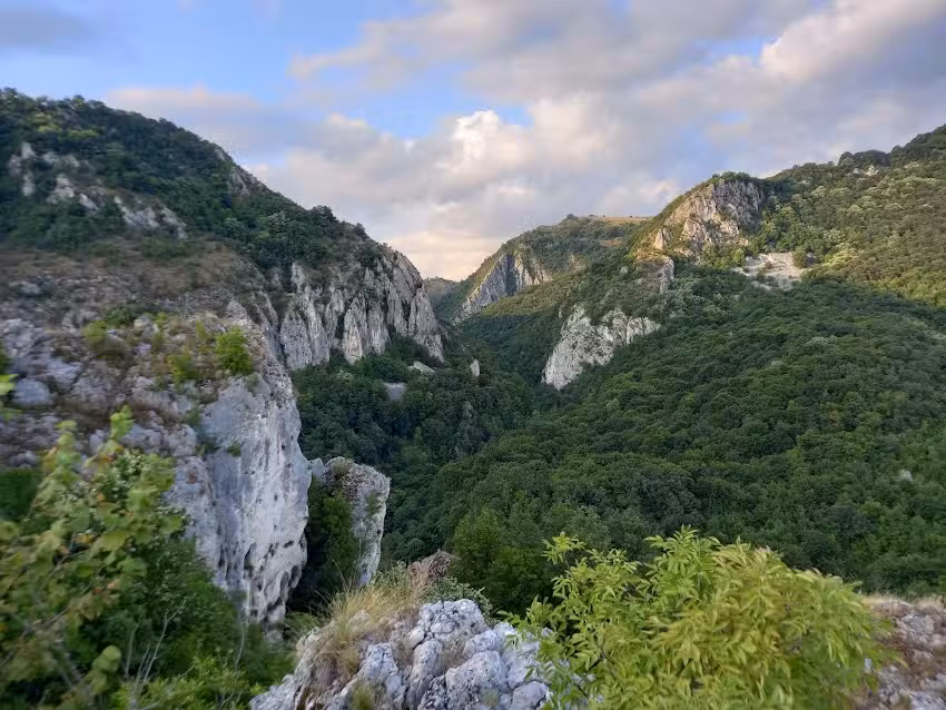 Gradina cu levantica