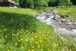 Grădiștea de Munte