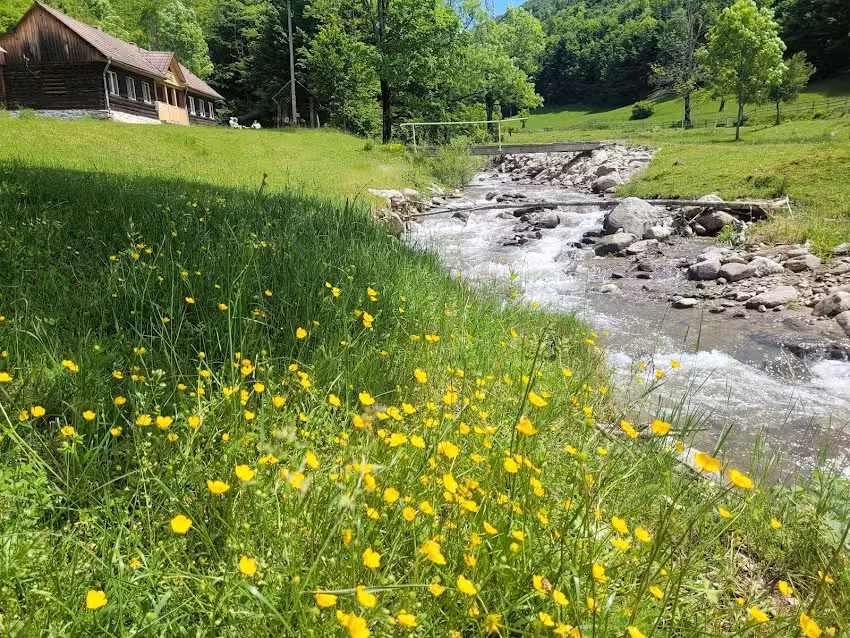 Grădiștea de Munte