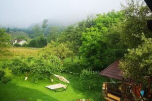 Green apart Vama Suceava