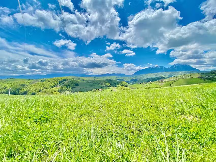 Green Hill Panoramic