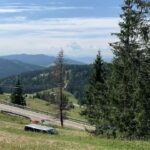 Green View Residence