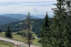 Green View Residence