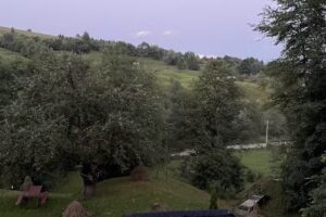 Green View Residence