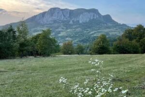 Greta Hillside – Buceş-Vulcan