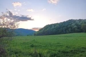 Grób Tibor erdei ház