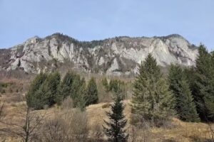 Hanelore Guest House ☆☆☆