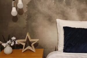 Harmony Villa – Cazare Straja – Vila Straja