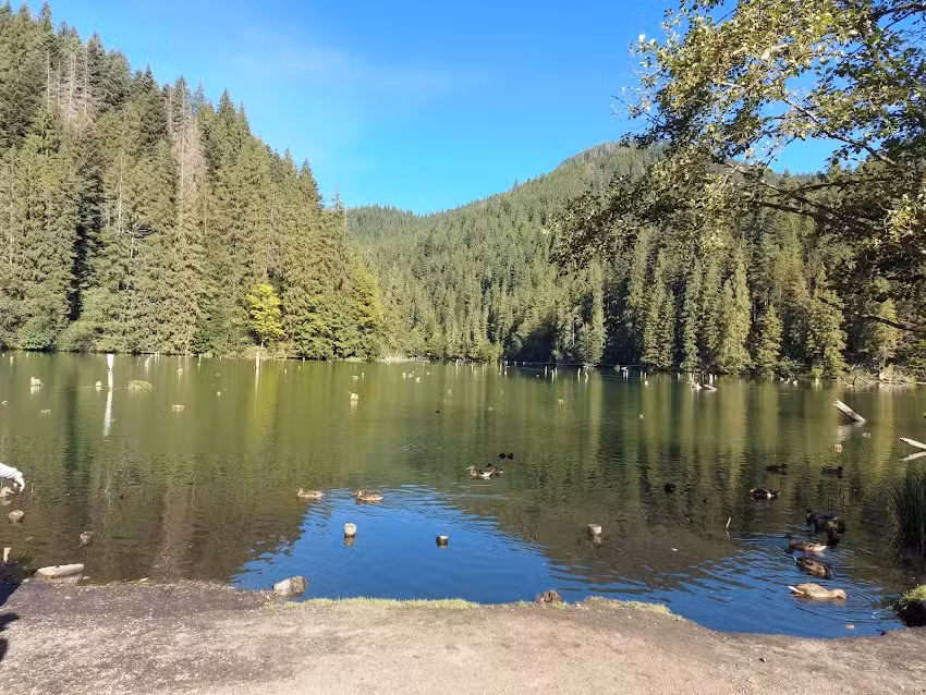 Hășmașul Mare – (Vila 17)