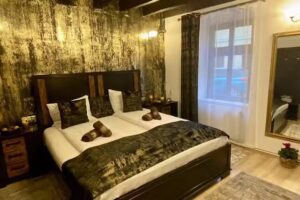 Hermannstadt House Sibiu