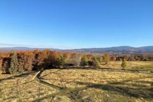 Hilltop Guesthouse Harghita