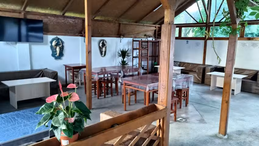 Holiday House Costinesti