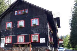 Hostel Nora Paltinis