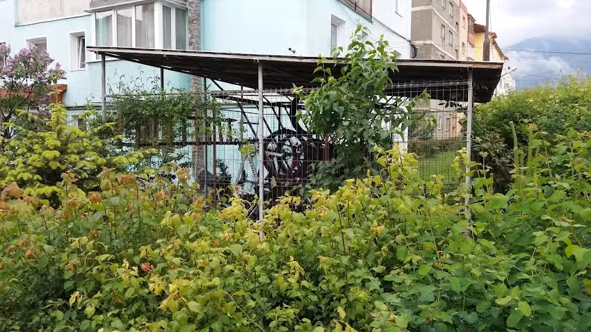 HOSTEL ”PIATRA CRAIULUI” – CERCETAȘII ROMÂNIEI