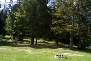 Hotel Bradul Argintiu