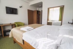 Hotel Comat Deva