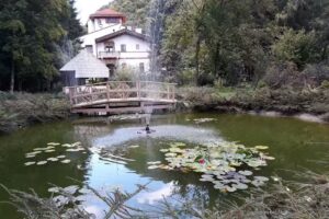 Hotel Maria Băile Olanesti