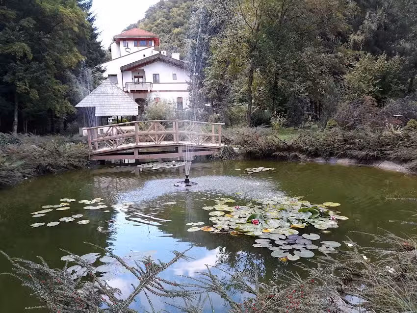 Hotel Maria Băile Olanesti