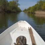 Hotel Plutitor “La Emil”