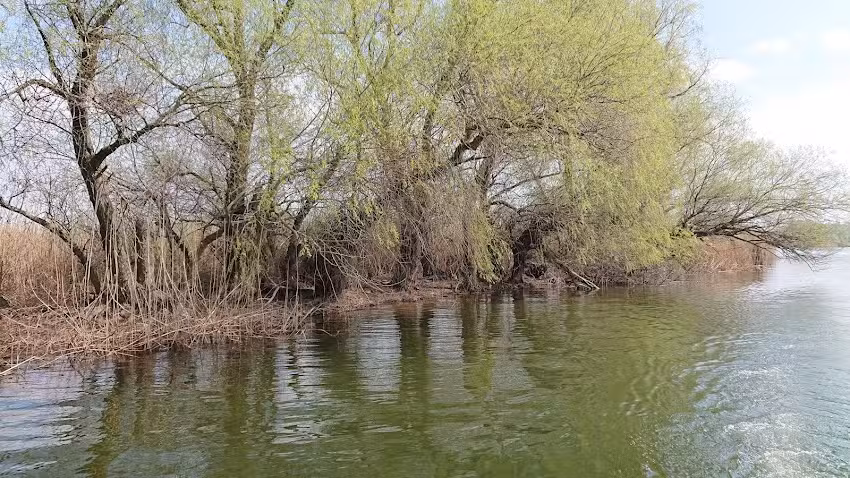 Hotel Plutitor Splendid