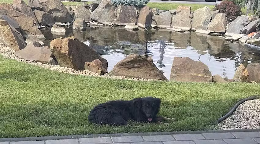 Hotel Restaurant Apoldu