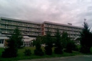 Hotel Timis
